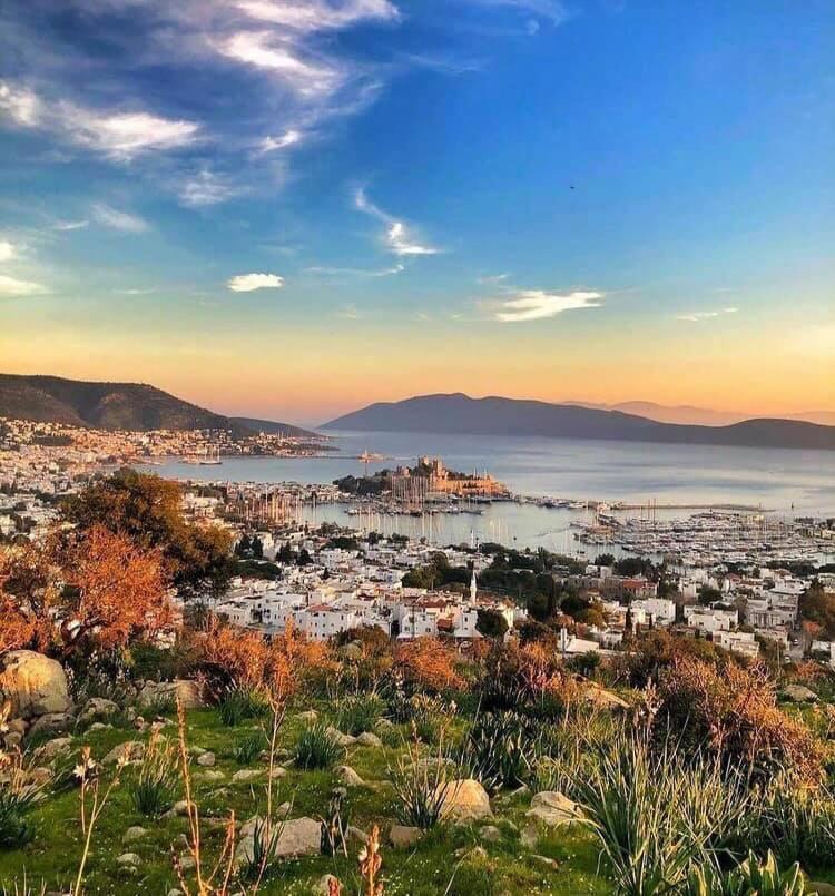 Merve Apartments, Your Home From Home In Central Bodrum, Street Cats Frequent The Property, Not All Apartments Have Balconies , Ground Floor Have Terrace With Table And Chairs Exteriör bild